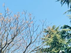 -月湖风景区