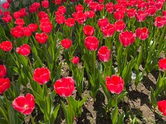 -长春公园(普阳街道)