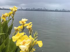 -东湖生态旅游风景区