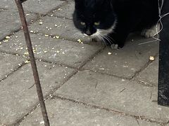 -沕沕水生态风景区