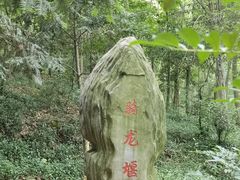 -上海佘山国家森林公园天马山园