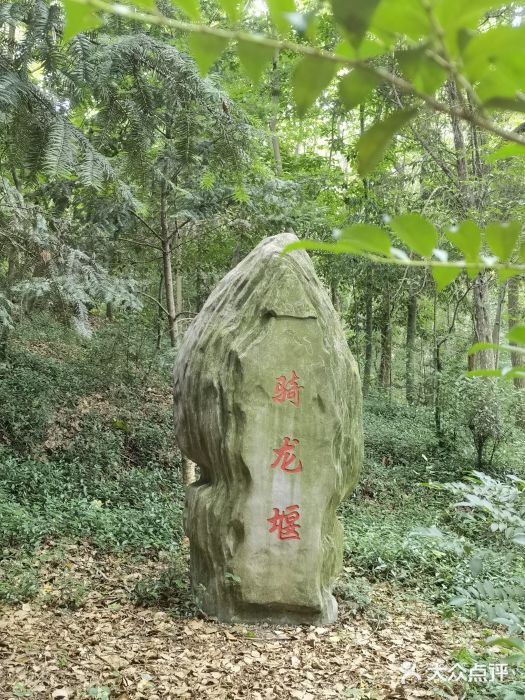 上海佘山国家森林公园天马山园图片