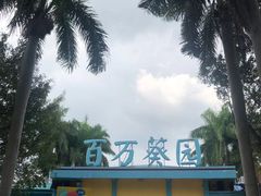 -百万葵园
