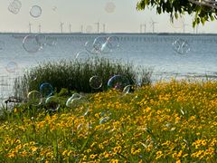 -七的湖·晚芳亭·阳澄湖农家菜·大闸蟹(莲花岛店)