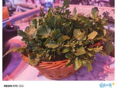 -琥珀川糟粕醋·香草鸭·鸡煲(慈云寺店)