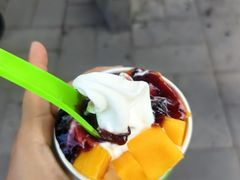 -Salud撒露欧洲冻酸奶(蓝色港湾店)