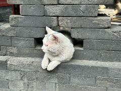 -张学良旧居陈列馆