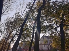 -同里国家湿地公园