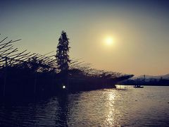 -八仔大富楼·河鲜(西江店)