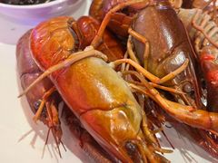 -红盔甲·小龙虾(车公庙店)