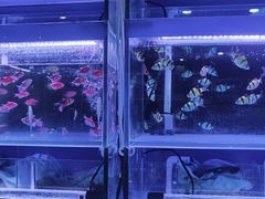 -三旗百汇商品城