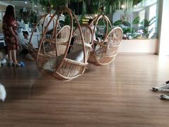 -Husky Go! 哈士奇体验馆·宠物咖啡厅狗咖