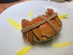 -觀芷隐轩