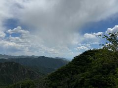 -大岭沟猕猴桃谷风景区