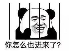 -小海豚国际游泳培训(长宁龙之梦酒店)