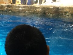 -湾景餐厅(海洋公园店)