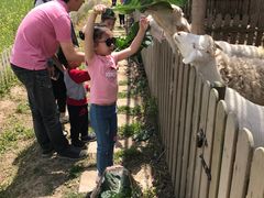 -上海多利农业发展有限公司