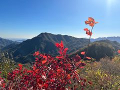 -大岭沟猕猴桃谷风景区