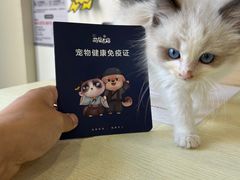 -萌兽医馆·犬猫专科·眼科中心·宠物医院(朝阳门分院)