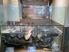 -上名堂·鱼头好吃(体育场路店)