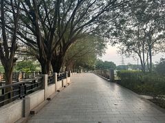 -黄埔古港