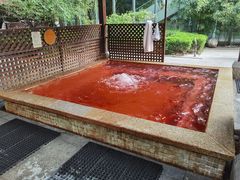 -春晖园度假酒店温泉