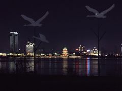 -秋水广场音乐喷泉