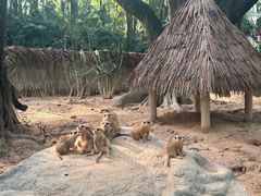 -广州长隆野生动物世界