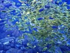 -波塞冬旅游度假区