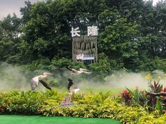 -广州长隆飞鸟乐园