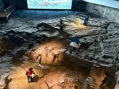 -自贡恐龙博物馆