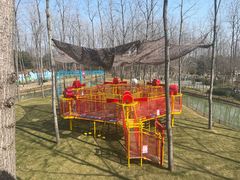 -合肥滨湖国家森林公园