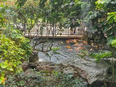 -新世纪大酒楼·30年南海菜