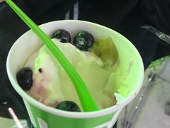 冻酸奶-Salud撒露欧洲冻酸奶(北苑上品店)