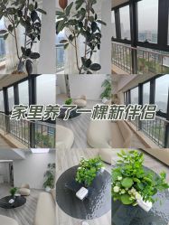 -HEYAN荷妍专业脱毛连锁机构