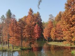 -应天大明王朝·南京菜(中山陵店)