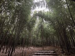 -穹窿山景区