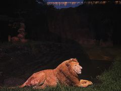 -杭州野生动物世界