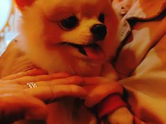 -E+有冰工厂·昆仑寒宫2(五角场店)