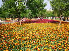 -长春公园(普阳街道)