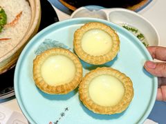 -新兴·金羊座·粤菜点心(乐峰店)