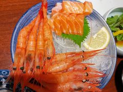 -黑松白鹿(崇文门新活馆店)