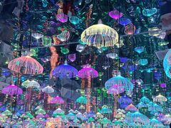 -深圳独角兽星空艺术馆