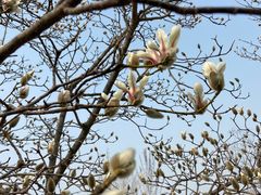 -鹫峰国家森林公园