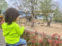 -西安秦岭野生动物园