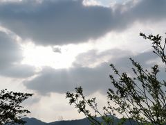 -天鹿湖森林公园