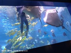-重庆欢乐海底世界