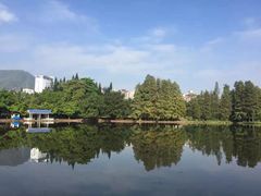 -四海公园(南山区)