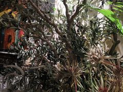 -大书房咖啡(中传国交店)