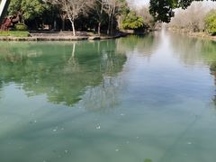 -西溪国家湿地公园